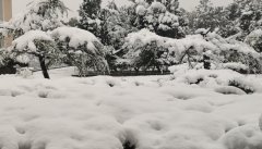 <b>暴雪气候面应急办法有哪些应对暴雪气候预备工</b>