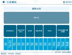 洞察趋向！智研征询发布